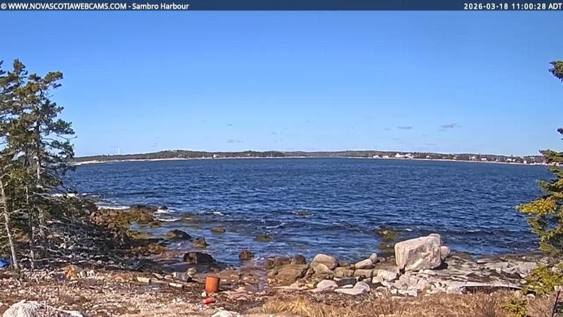 Sambro Harbour