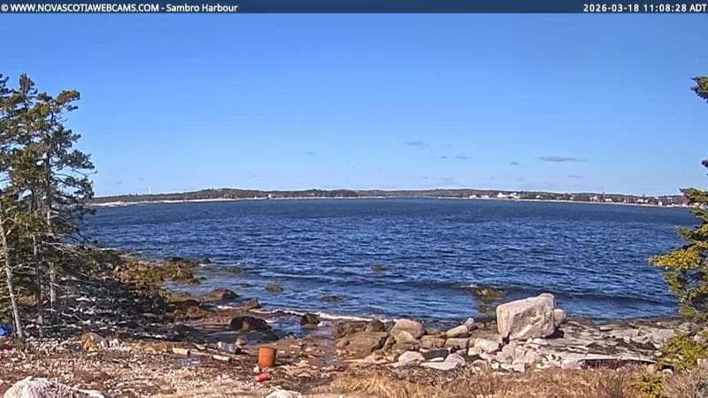 Sambro Harbour