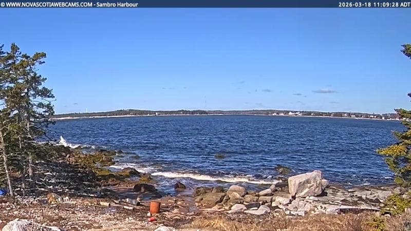 Sambro Harbour