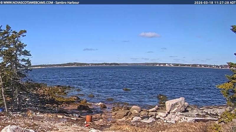Sambro Harbour