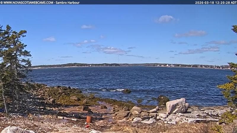 Sambro Harbour