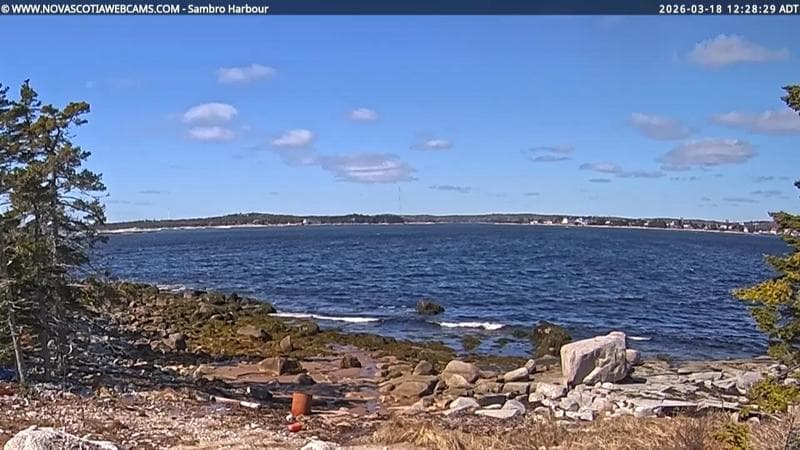Sambro Harbour
