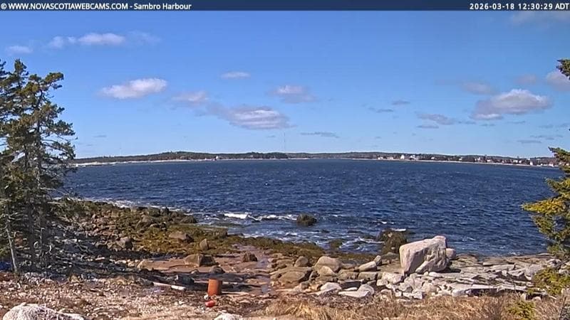 Sambro Harbour