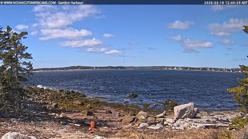 Sambro Harbour