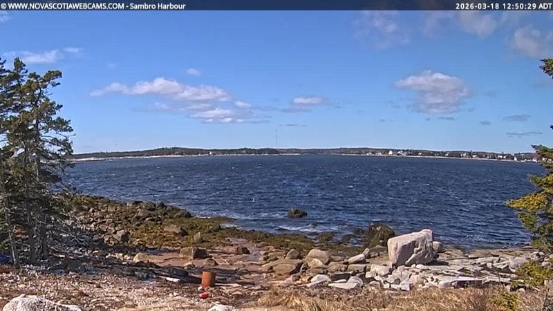 Sambro Harbour