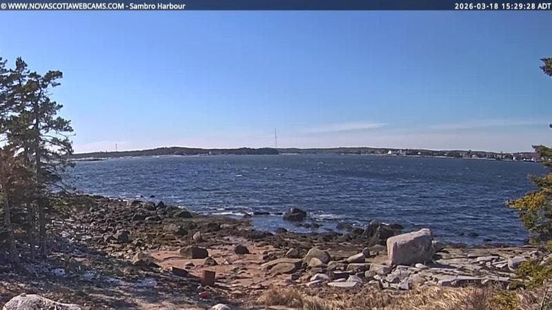 Sambro Harbour