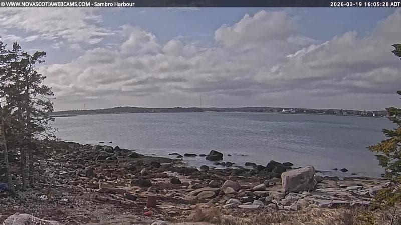 Sambro Harbour