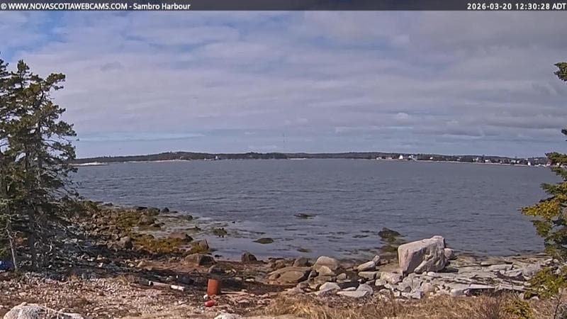 Sambro Harbour