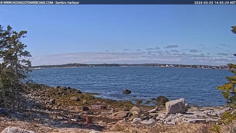 Sambro Harbour