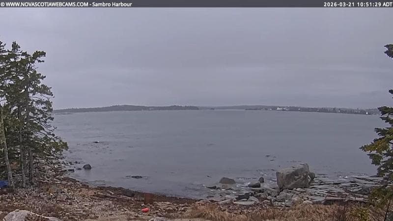 Sambro Harbour