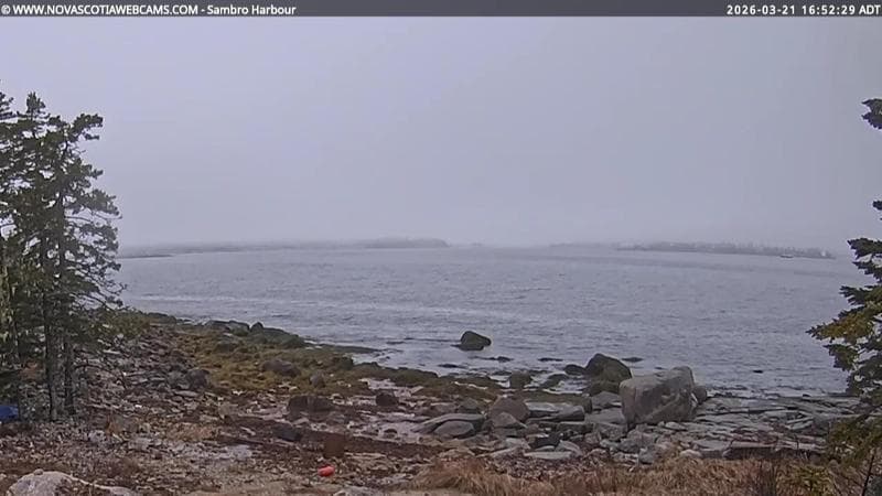 Sambro Harbour