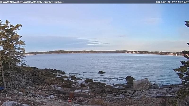 Sambro Harbour
