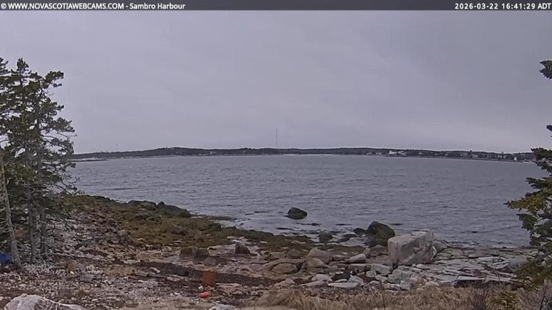 Sambro Harbour