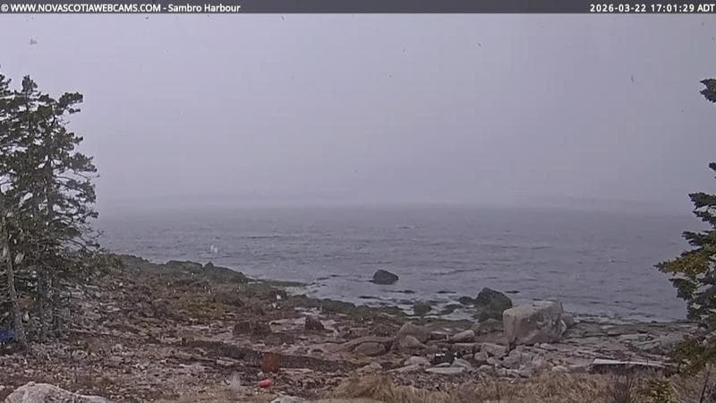Sambro Harbour