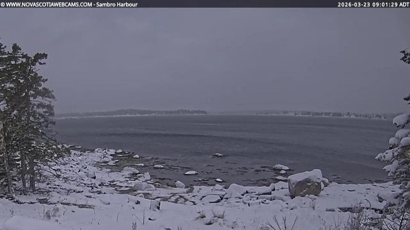 Sambro Harbour