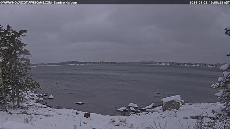 Sambro Harbour