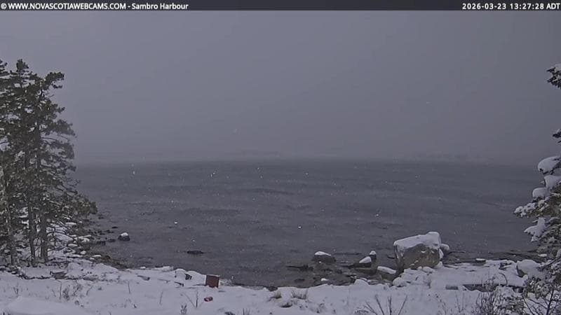 Sambro Harbour