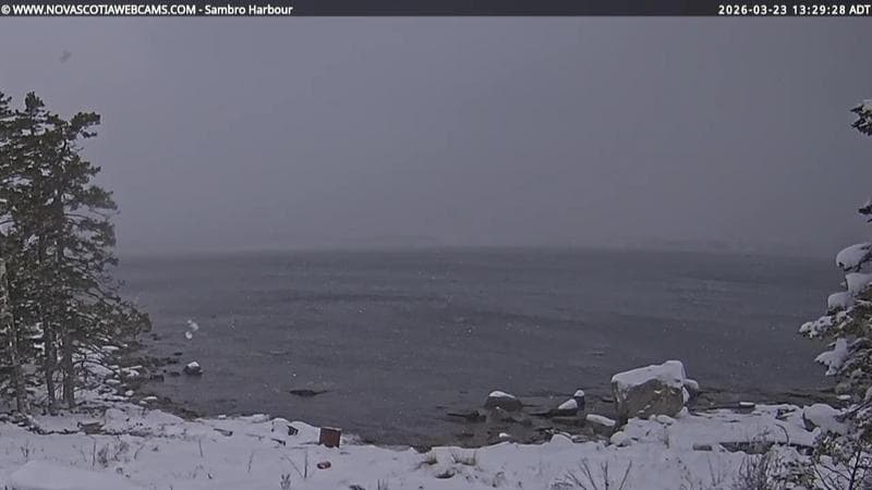 Sambro Harbour