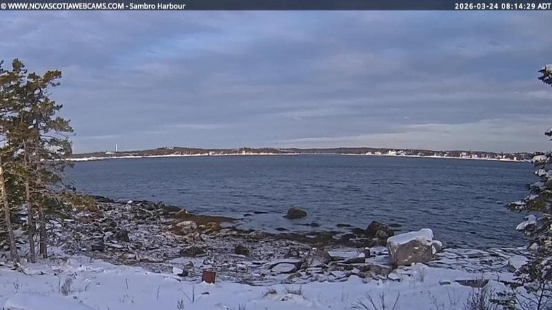 Sambro Harbour