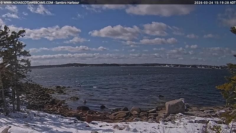 Sambro Harbour