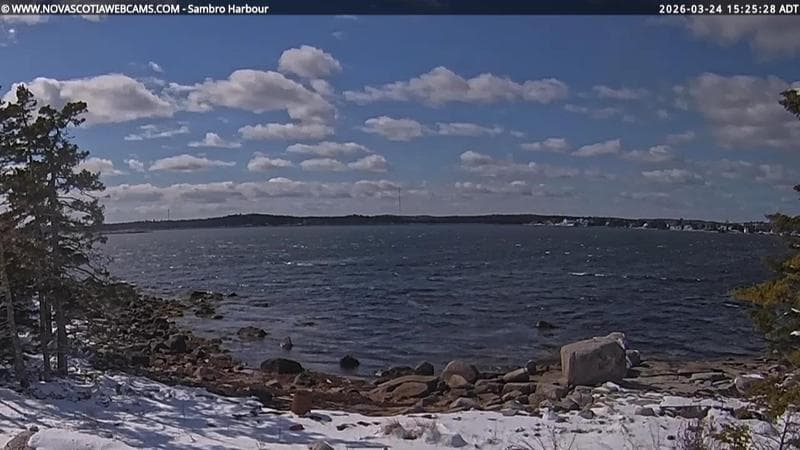 Sambro Harbour