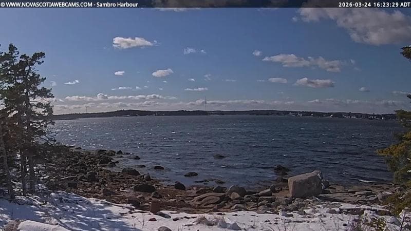Sambro Harbour