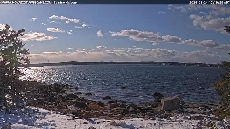 Sambro Harbour