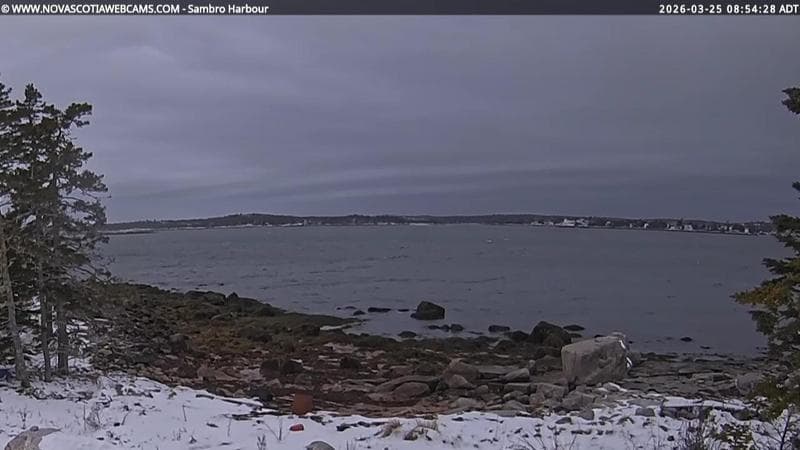 Sambro Harbour