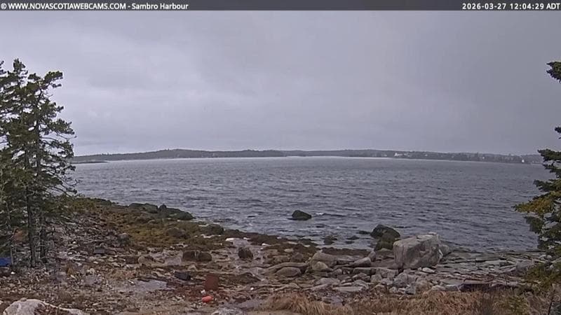 Sambro Harbour