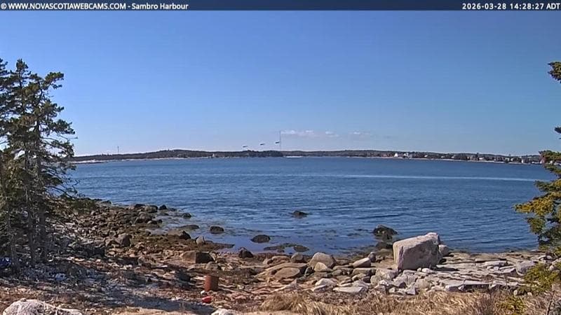 Sambro Harbour