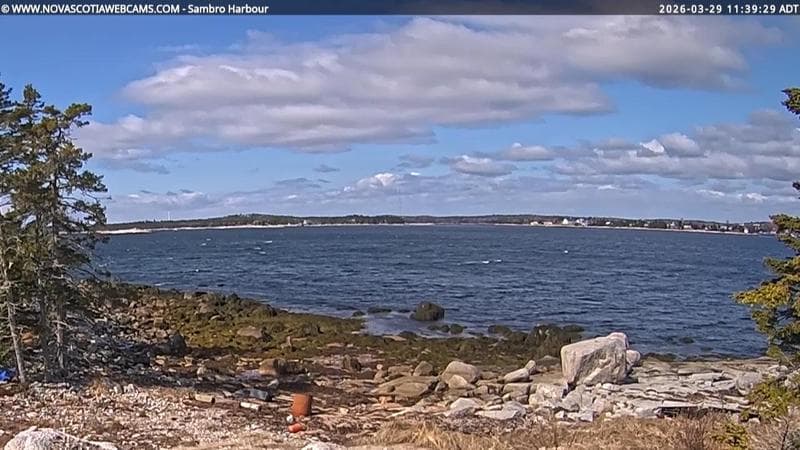 Sambro Harbour