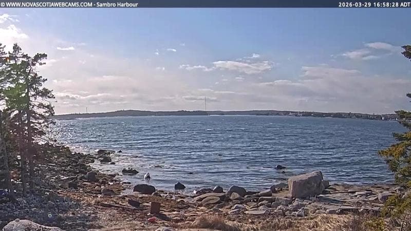 Sambro Harbour