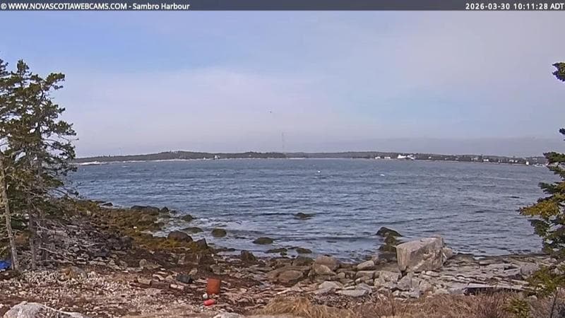 Sambro Harbour