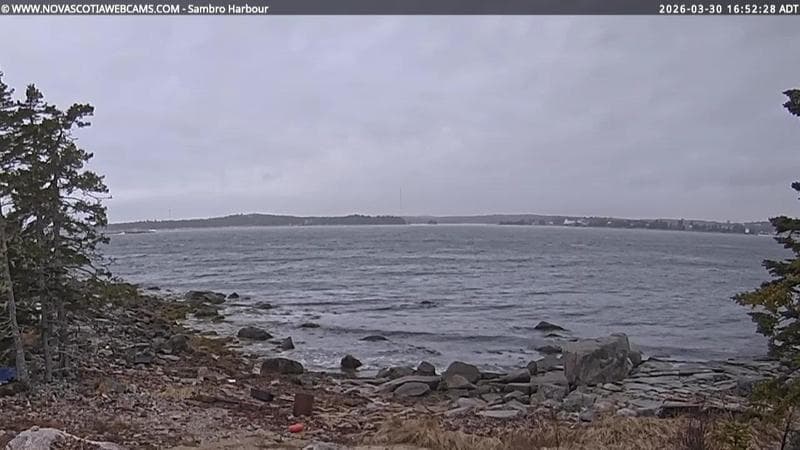 Sambro Harbour
