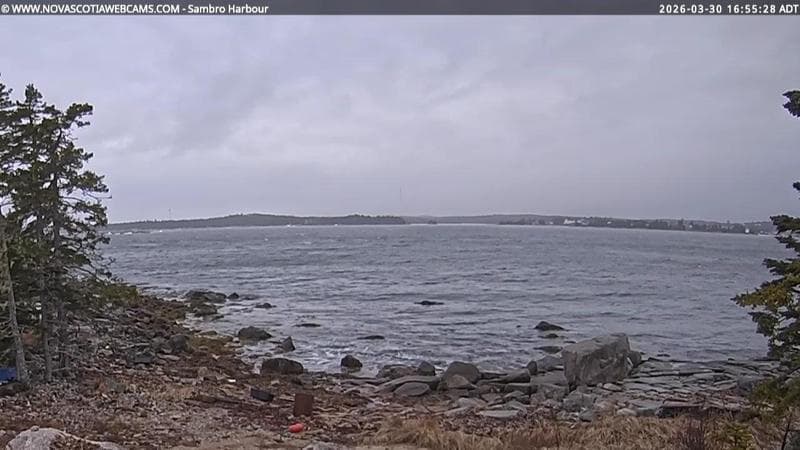 Sambro Harbour