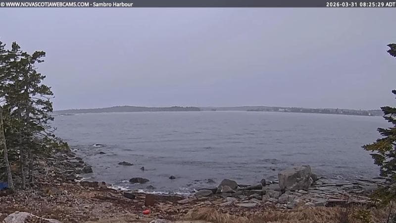 Sambro Harbour