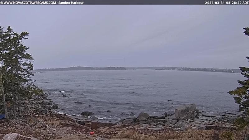 Sambro Harbour