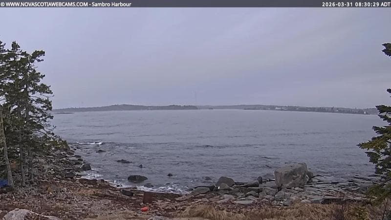 Sambro Harbour