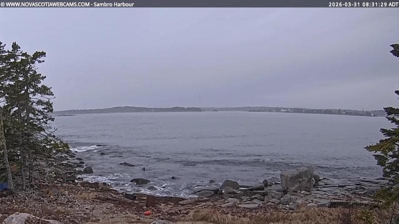 Sambro Harbour