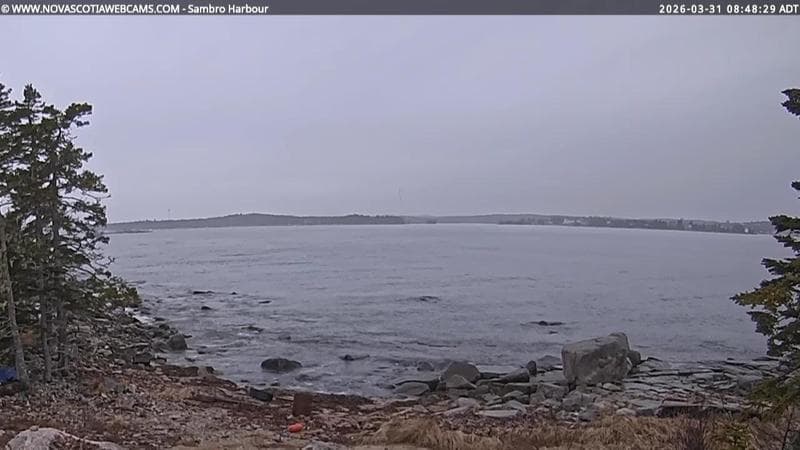 Sambro Harbour