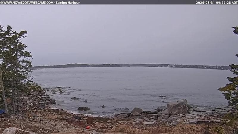 Sambro Harbour