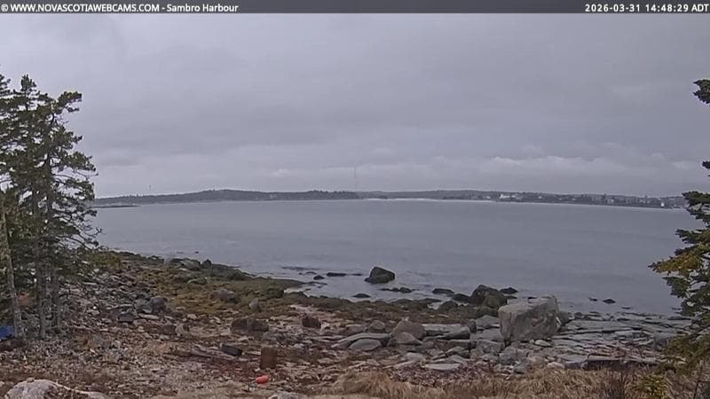 Sambro Harbour