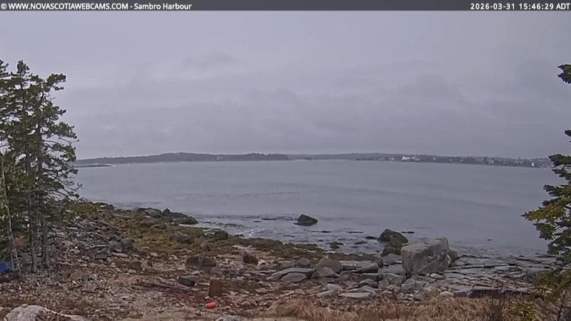Sambro Harbour