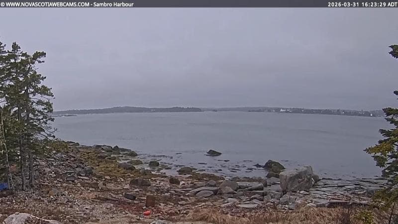 Sambro Harbour