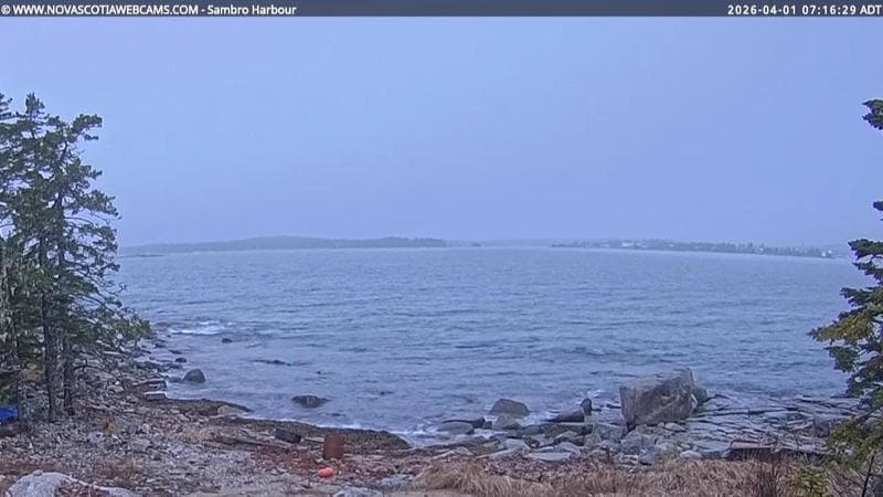 Sambro Harbour