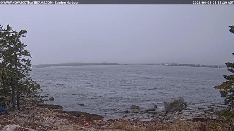 Sambro Harbour