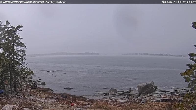 Sambro Harbour