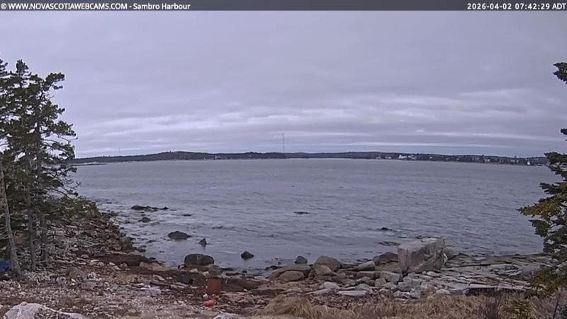 Sambro Harbour