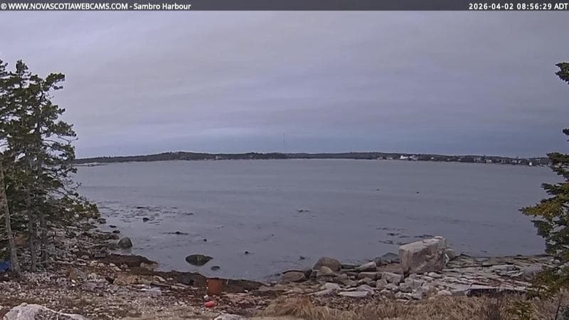 Sambro Harbour