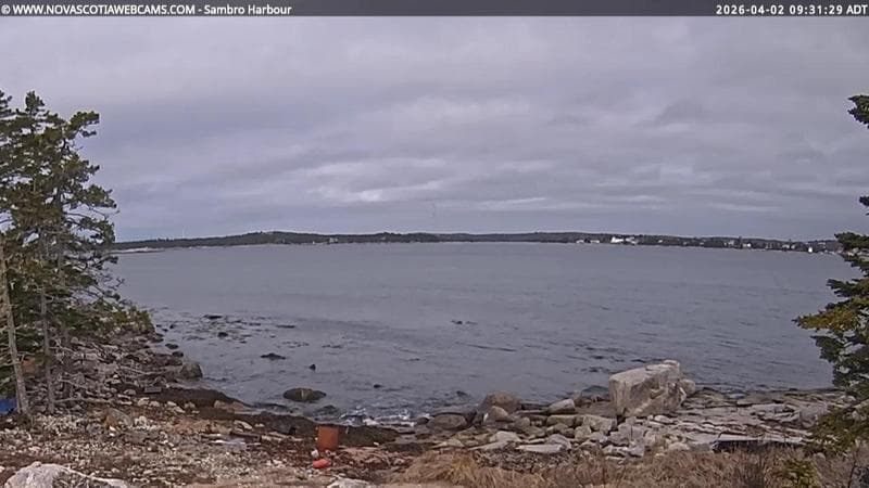 Sambro Harbour
